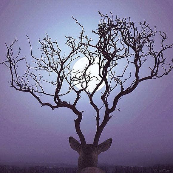 colourful-surreal-photography-robert-jahns-17