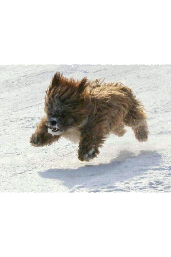 tueqBBu
