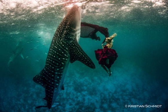 Shawn-Heinrichs-photography-underwater-2