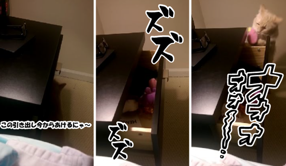 キャプチャリング600