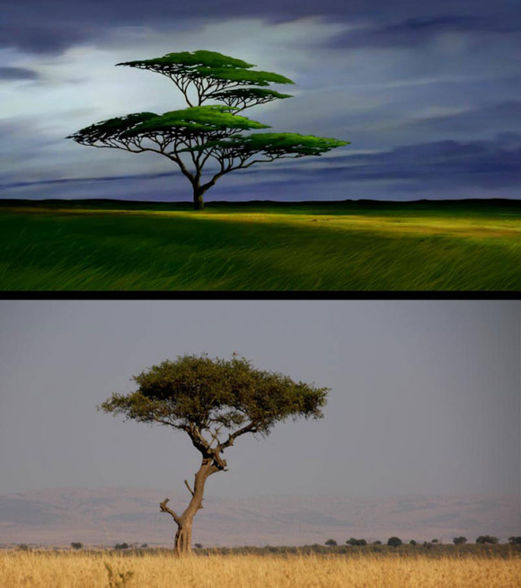 real-life-lion-king-brandon-heuser-5
