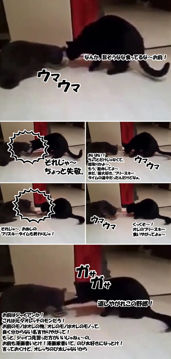 キャプチャリング600