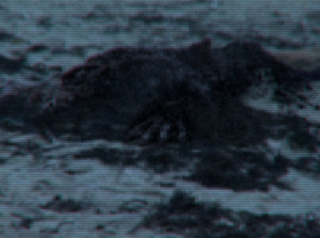 enhanced-buzz-32146-1368759291-10