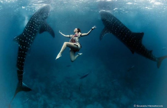 Shawn-Heinrichs-photography-underwater-13