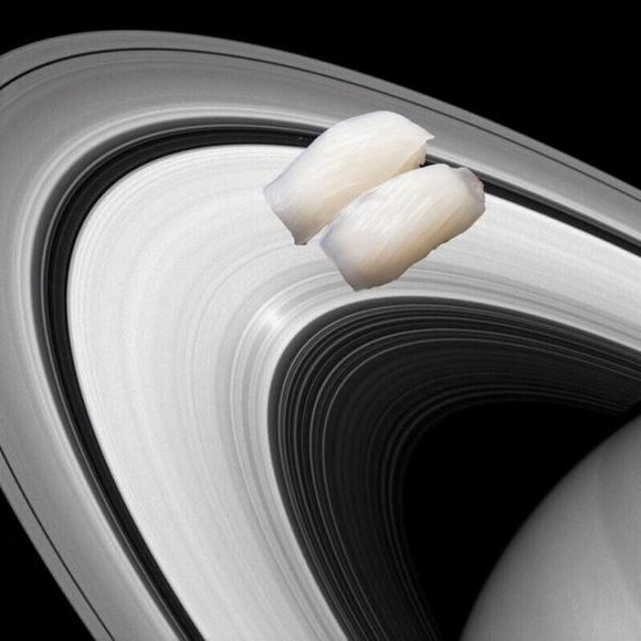 spacesushi1