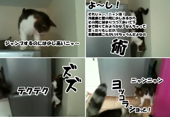 キャプチャリング600