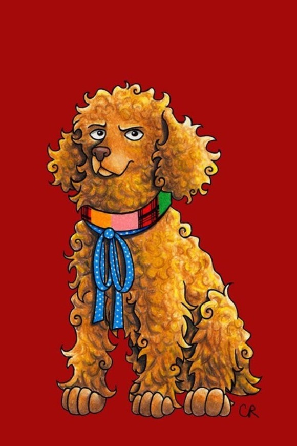 6th Dogtor - The Cocker Spaniel