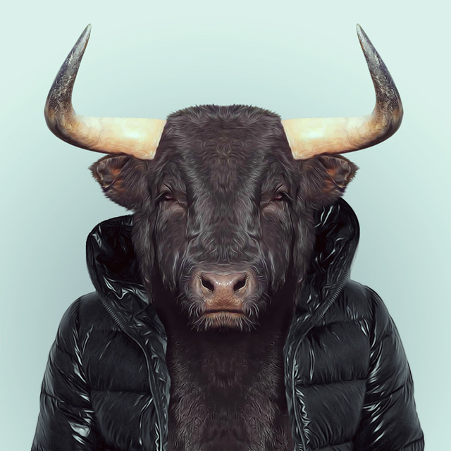 10-animal-portrait-photography