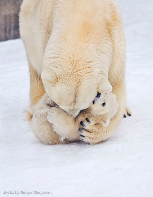 Kissiekissie