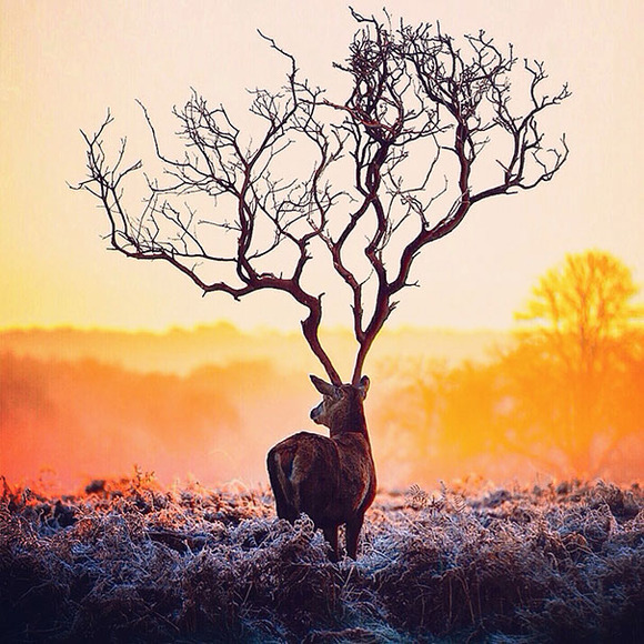 colourful-surreal-photography-robert-jahns-3