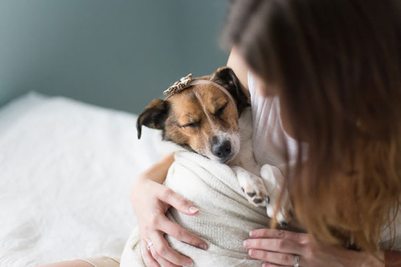 dog-baby-photos-snuggles-count-it-joy-jamie-clauss-1