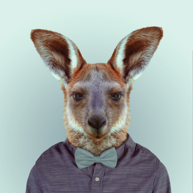 37-animal-portrait-photography