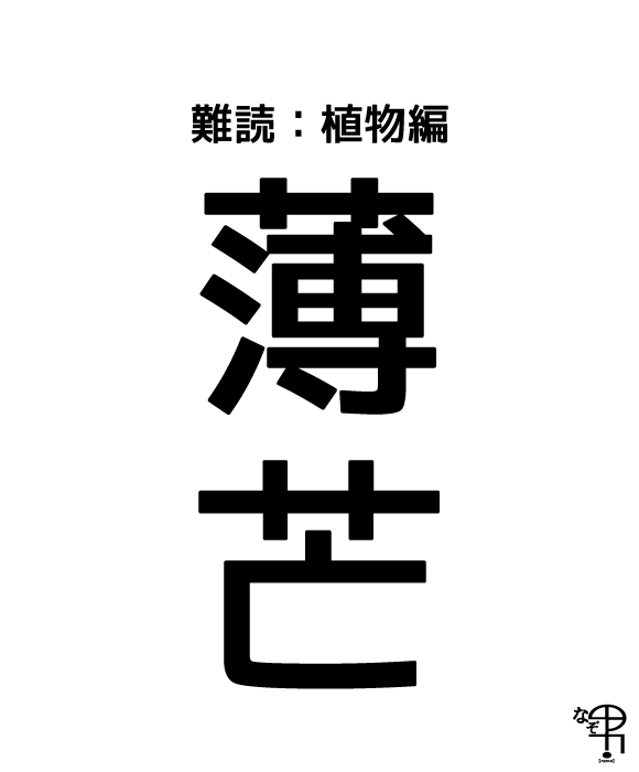 難読漢字 植物編 秋のお月見に 薄 芒 野原なんかにさいてるよ ジャポンタ