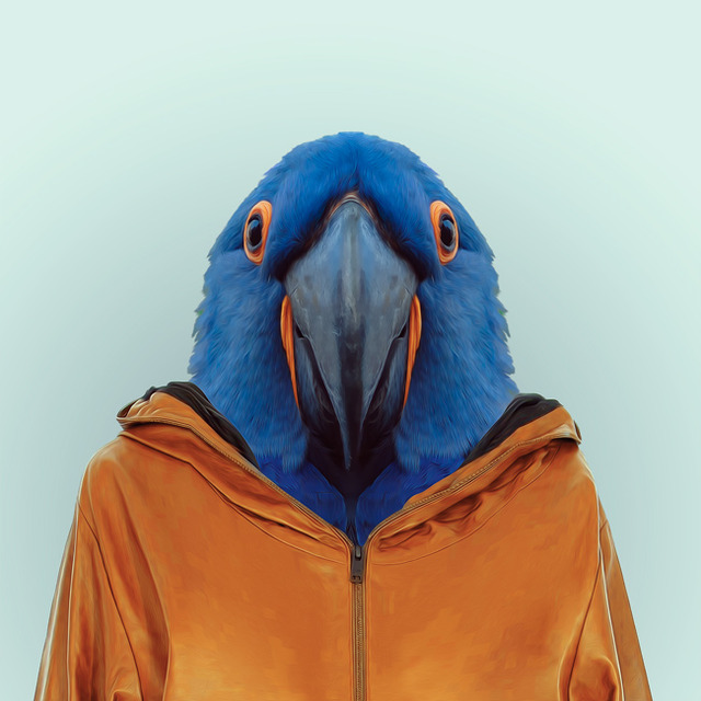 13-animal-portrait-photography