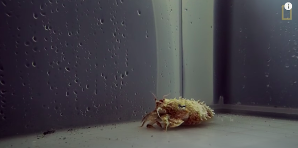 スクリーンショット 3