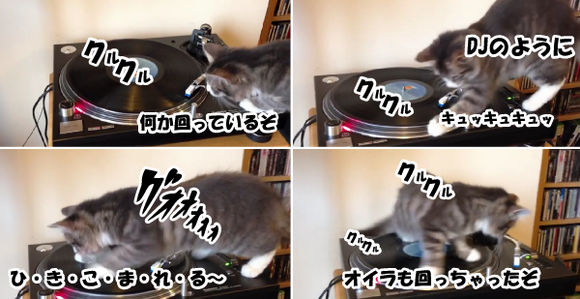 キャプチャリング600
