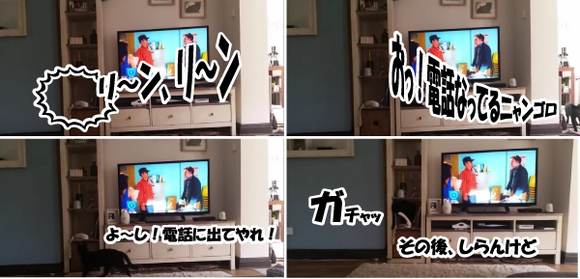 キャプチャリング600