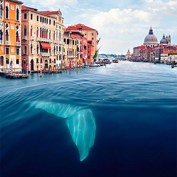 colourful-surreal-photography-robert-jahns-22