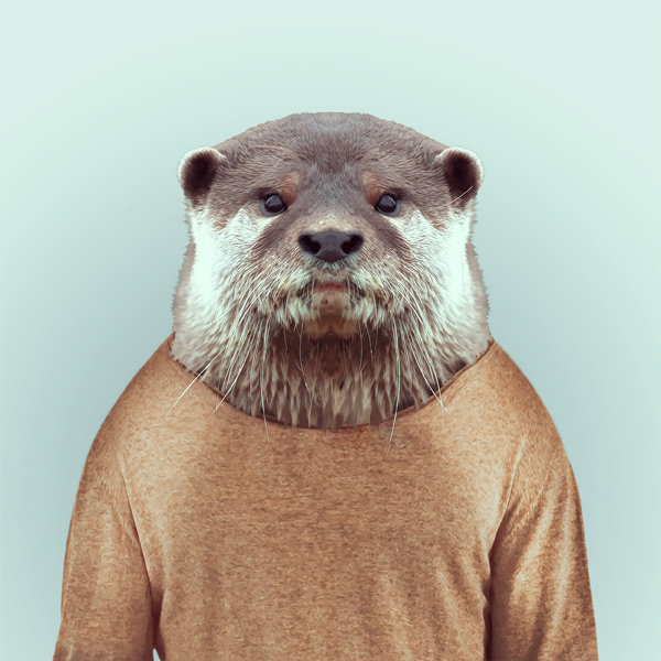12-animal-portrait-photography