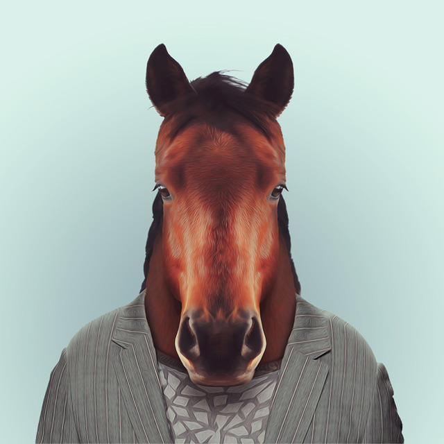 34-animal-portrait-photography