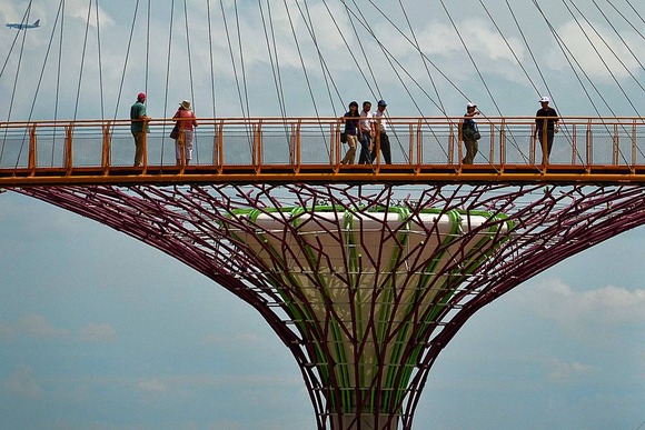 supertree supertrees singapore 8