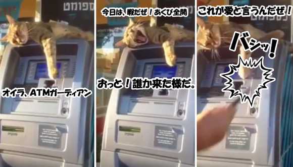 キャプチャリング600