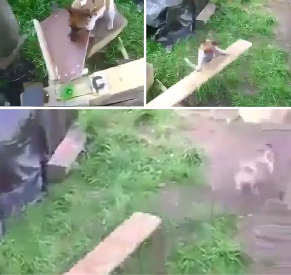 キャプチャリング