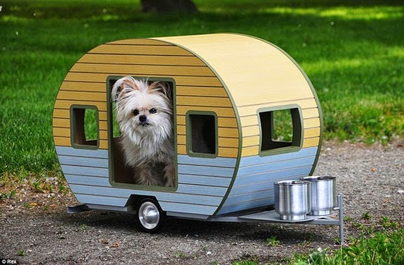 pet-camper05
