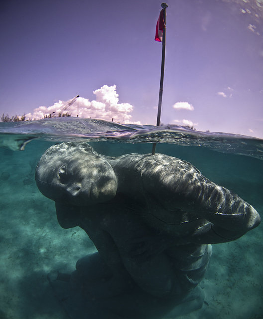 水中にある石造って神秘的だ バハマの海に設置された巨大石造 ジャポンタ