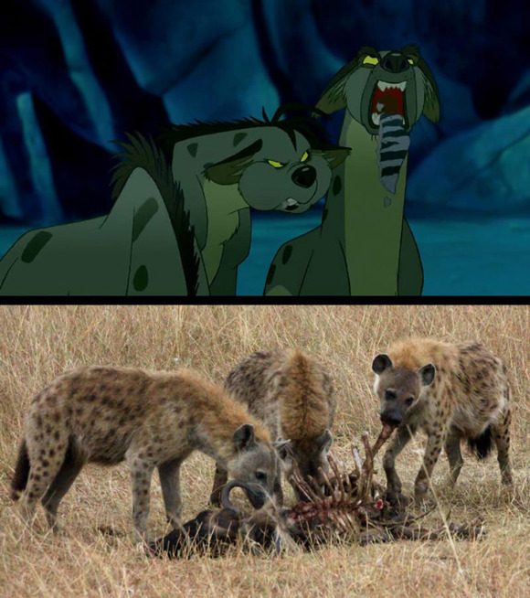 real-life-lion-king-brandon-heuser-1