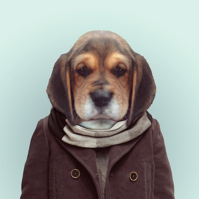 9-dog-portrait-photography