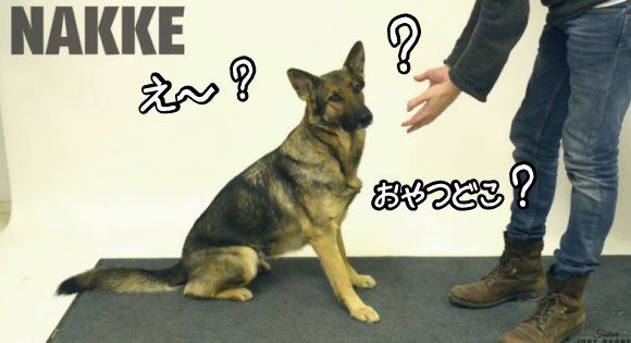 キャプチャリングロングロング