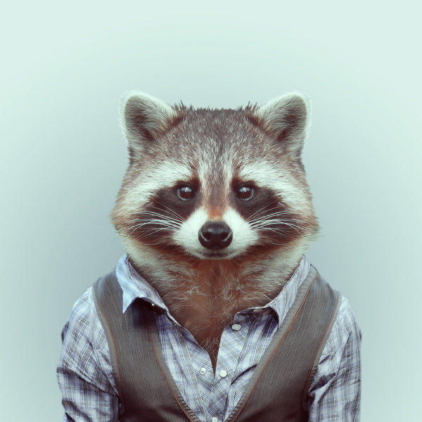 20-animal-portrait-photography