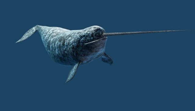 strange-animals-you-didnt-know-2-22-1-600x343