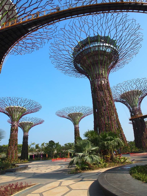 supertree supertrees singapore 3