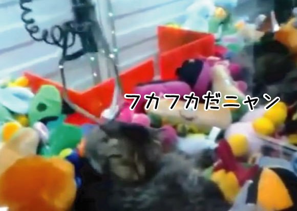 キャプチャリングロングロング