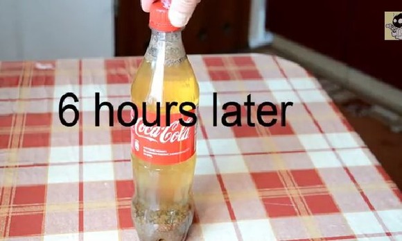 WS000004