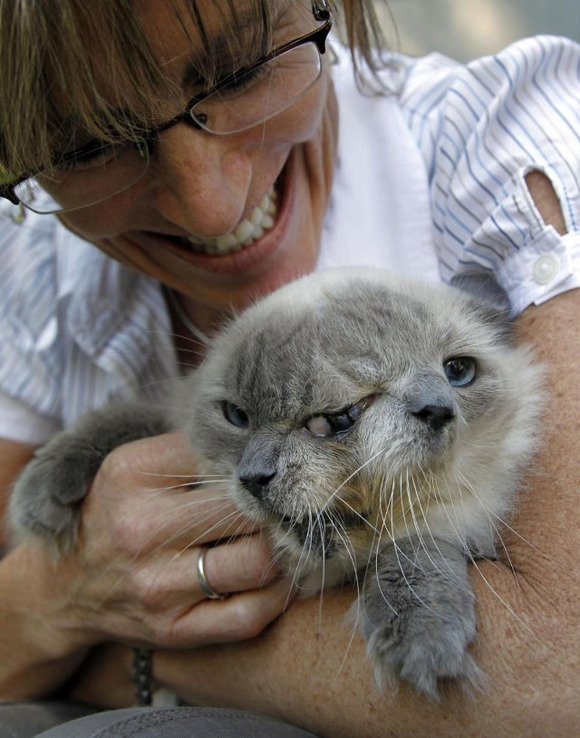 RIP-two-faced-cat