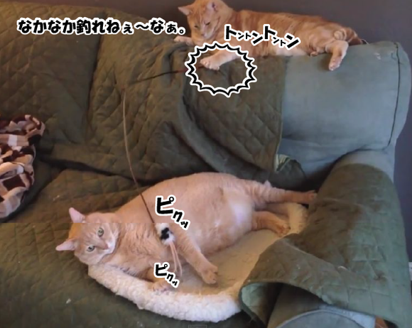 キャプチャリング600