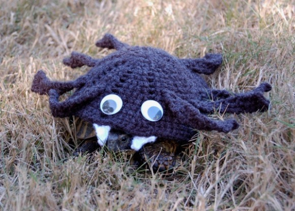 カメたちの可愛いウインターウェアー 毛糸で出来たカメたちのお洒落なセーター ジャポンタ