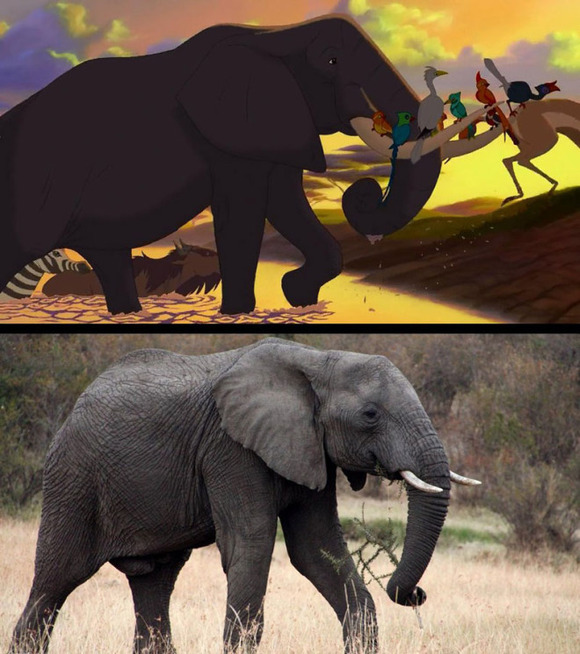 real-life-lion-king-brandon-heuser-12