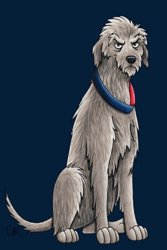 12th Dogtor - The Irish Wolfhound