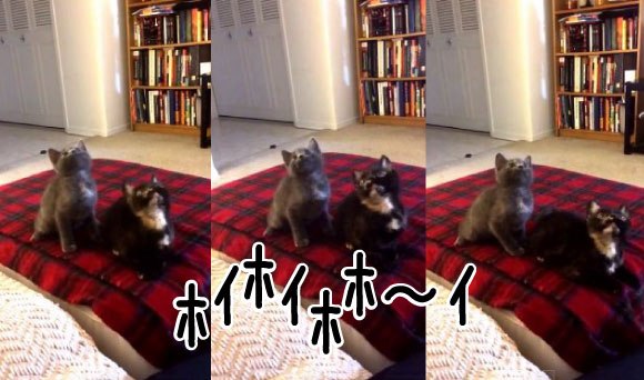 キャプチャリング