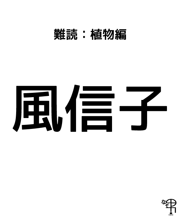 難読漢字 植物編 花の名前 風のノブ子と書いて 風信子 ジャポンタ