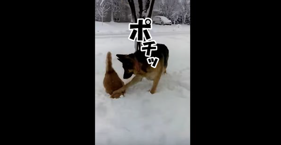キャプチャリング600
