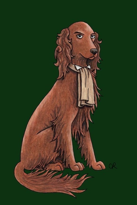 8th Dogtor - The Irish Setter