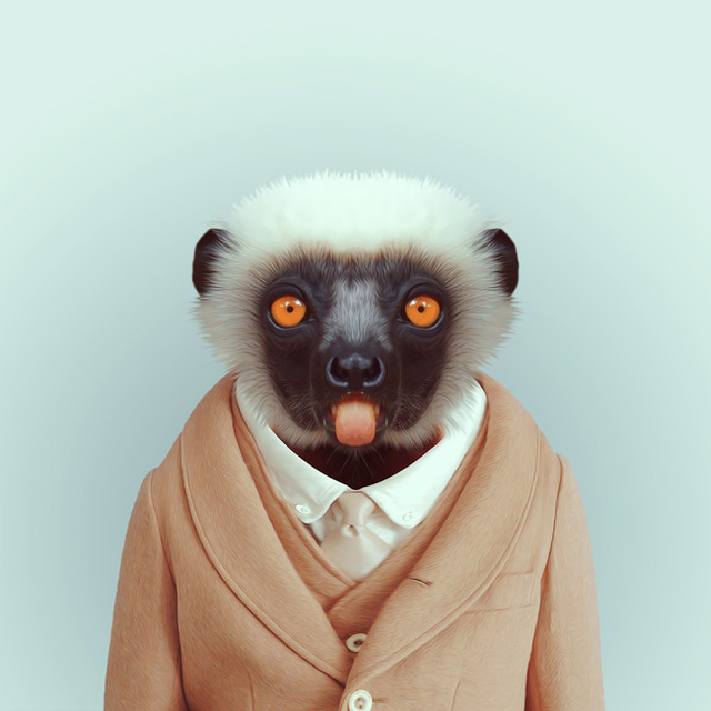 31-animal-portrait-photography