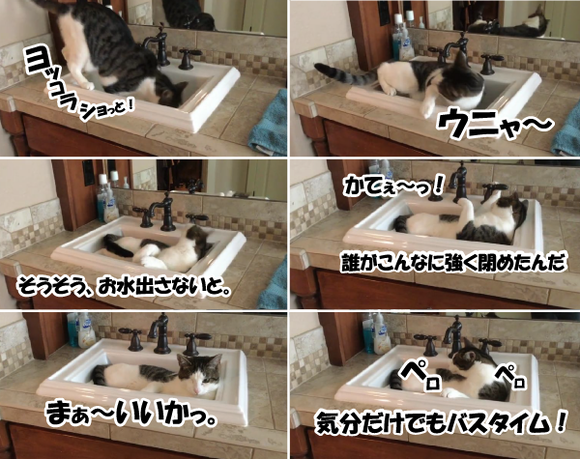 キャプチャリング600