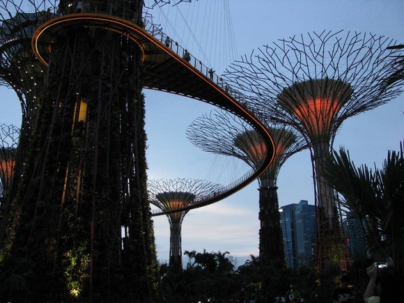 supertree supertrees singapore 12