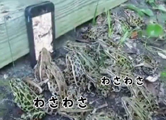 キャプチャリングロングロング